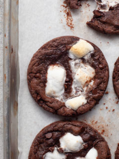 a gluten free hot cocoa cookie made with gluten free flour