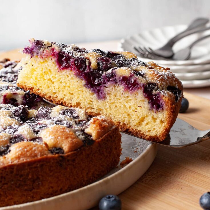 Exotic Blueberry Cake