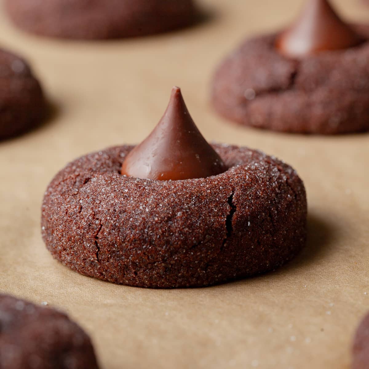 If you love chocolate, these Gluten Free Chocolate Blossoms are an absolute must! Fudgy, rich cookies are topped with everyone&rsquo;s favorite Hershey&rsquo;s Kisses, creating the perfect combination of soft chocolate and a classic candy treat. They&rsquo;re fun to bake, easy to share, and make any holiday cookie platter instantly more festive. Whether you&rsquo;re gifting them to friends and family or keeping them all to yourself, these cookies are guaranteed to satisfy every chocolate craving this holiday season.