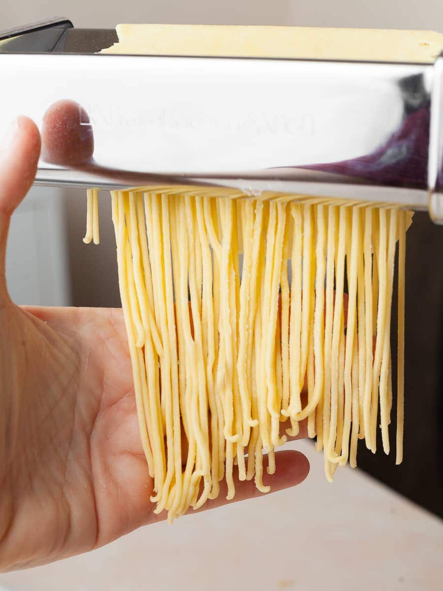gluten free fresh spaghetti made from fresh pasta