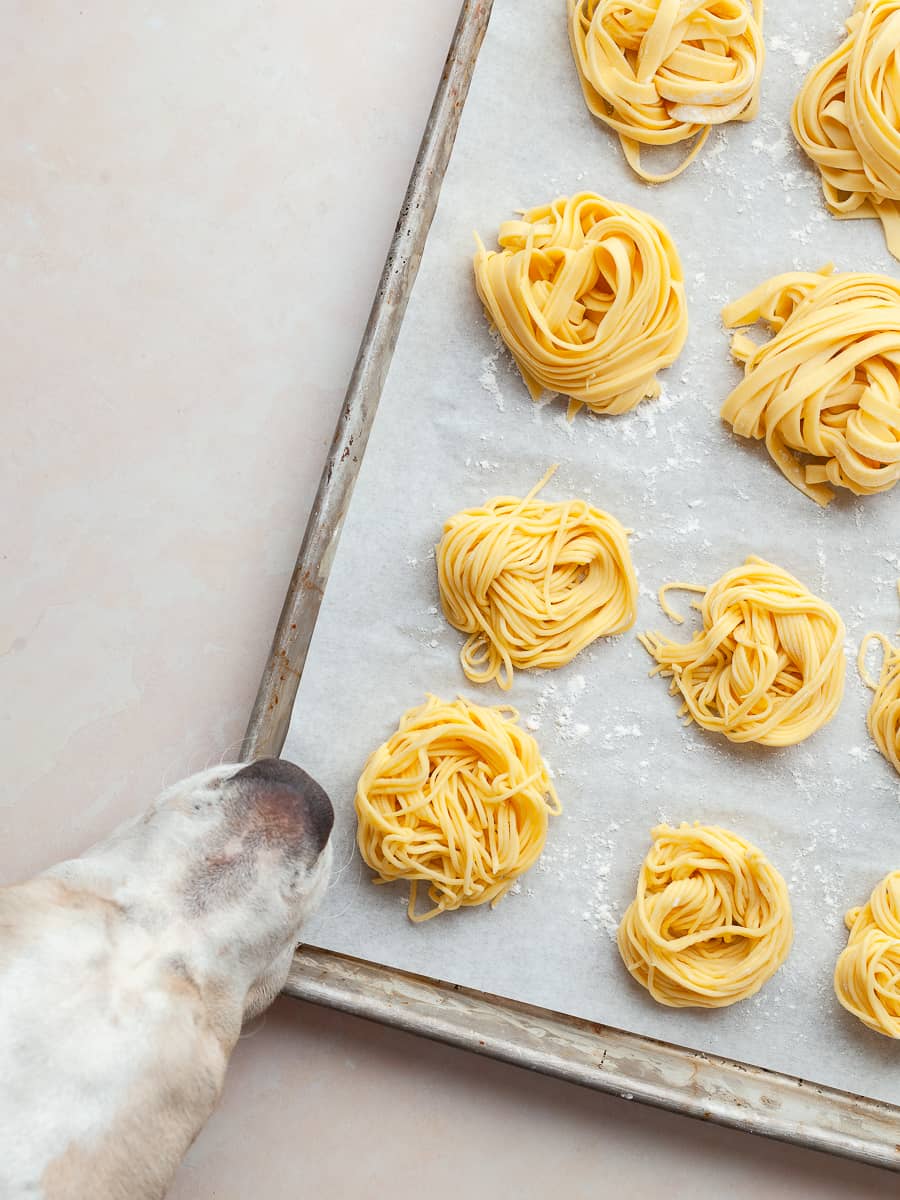 gluten free fresh pasta cut into fettucine and arranged in little twirls on a lightly floured parchment paper with a Pointer Dog nose