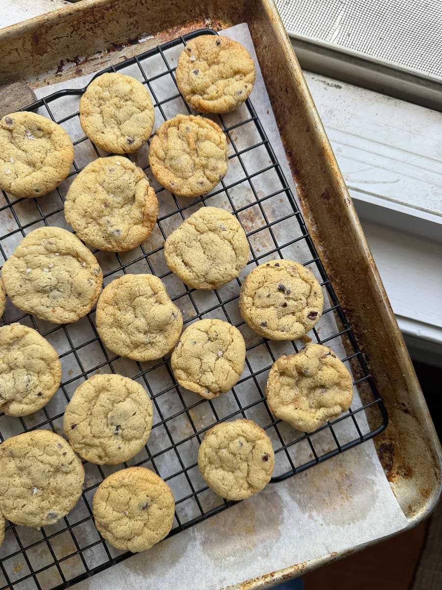 a test bake of crispy gluten free chocolate chip cookies on a cooling rack on a baking sheet